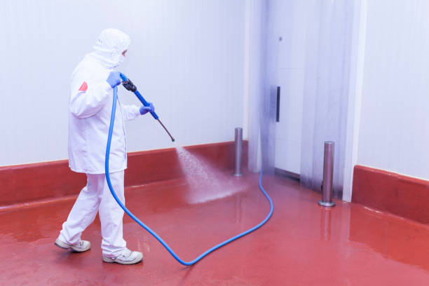 Best Solar Panel Cleaning  in Hidden Hills, CA