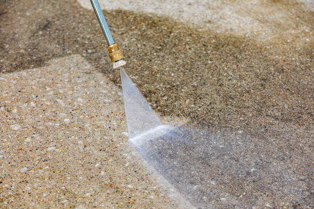 Animal Enclosure Cleaning in Hidden Hills, CA